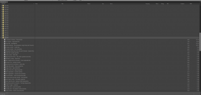 metadata editor.png
